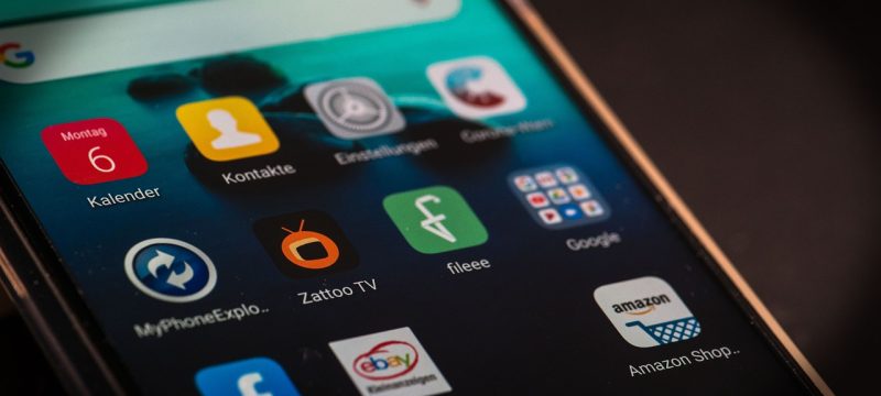 ZT666.APP官方域名核验流程示意图，展示从地址栏检查到Whois查询的五步核验方法，绿色标注正确步骤